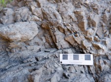Dolomite sampling in the Ordos Basin, China